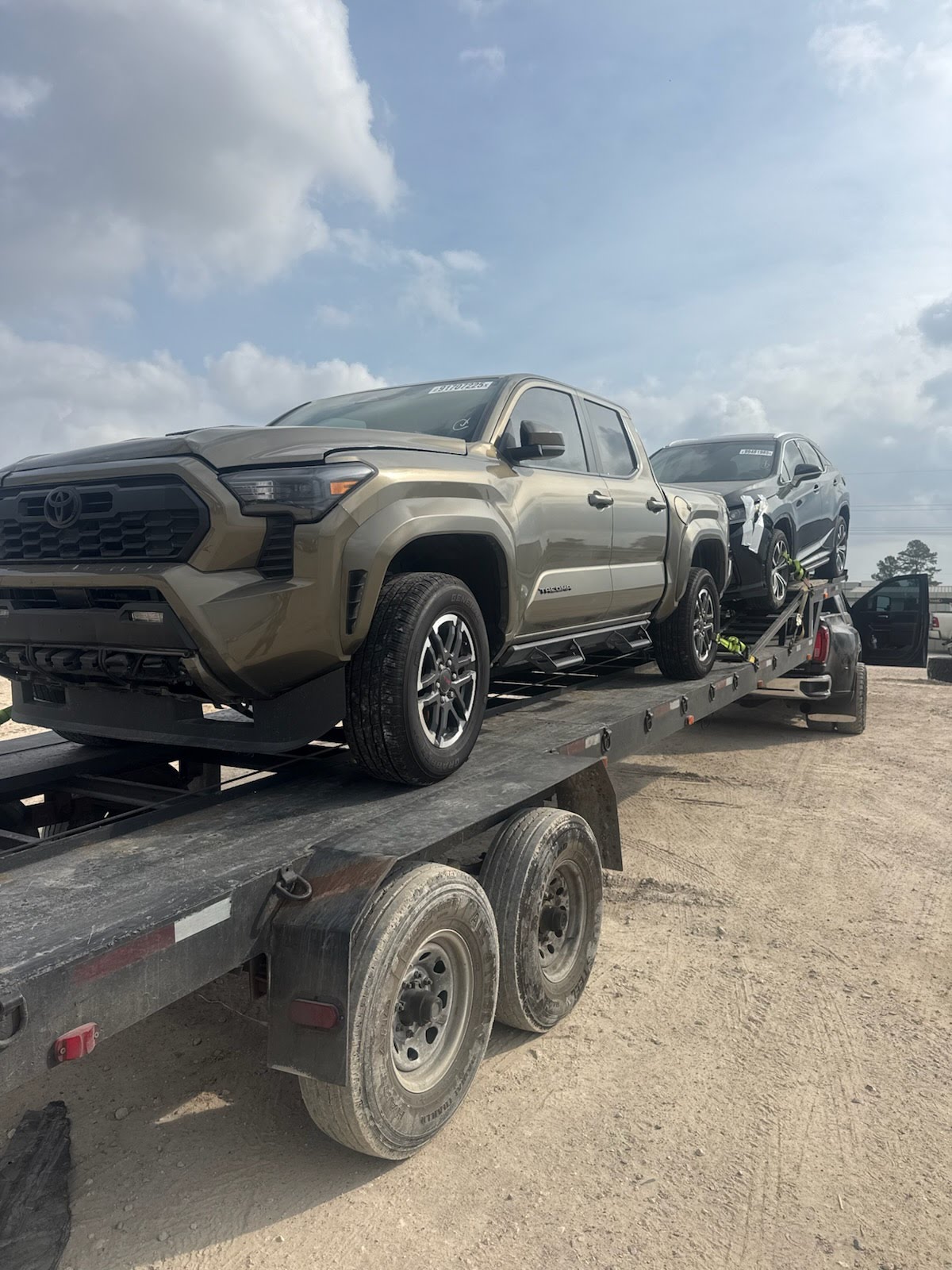 Multiple vehicles staged for export loading
